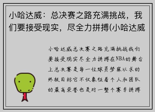 小哈达威：总决赛之路充满挑战，我们要接受现实，尽全力拼搏(小哈达威集锦)