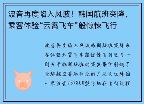 波音再度陷入风波！韩国航班突降，乘客体验“云霄飞车”般惊悚飞行