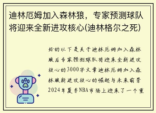 迪林厄姆加入森林狼，专家预测球队将迎来全新进攻核心(迪林格尔之死)